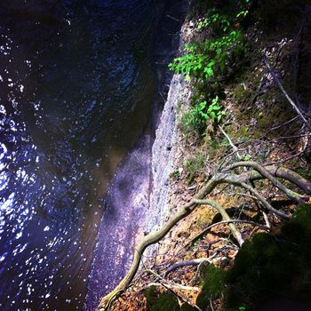 Looking from the Cliff