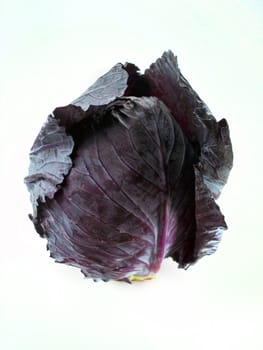 Fresh red cabbage vegetable on white background