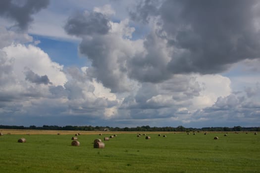 Lithuania summer land sky horizon