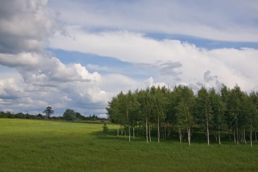 Lithuania summer land sky horizon