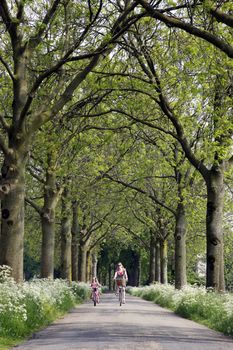 mother and daughter cycling in the summer in the countryside