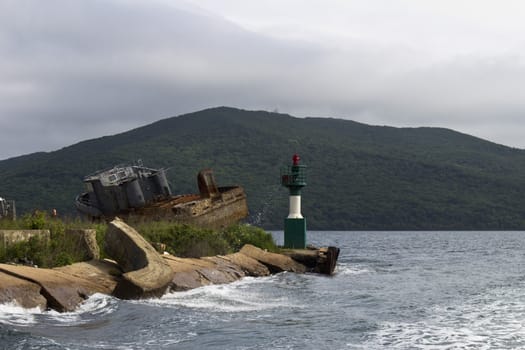 The foggy seashore with the rock and trees