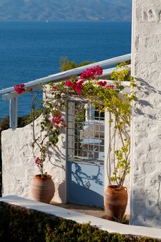 Door with hanging flowers of traditional house on Poros island, Greece