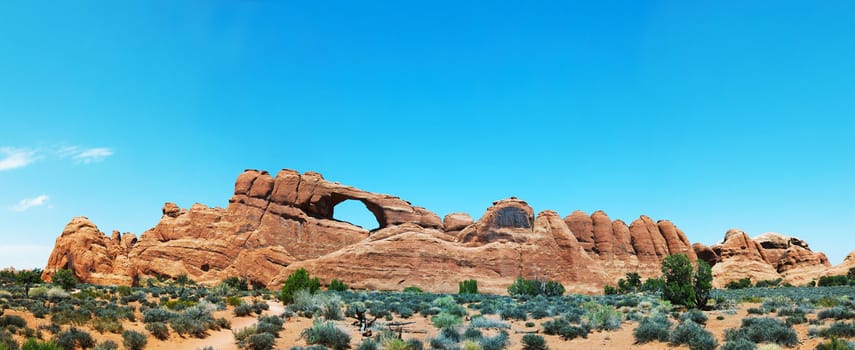 Scenic view at Arches National Park, Utah, USA in the noon light