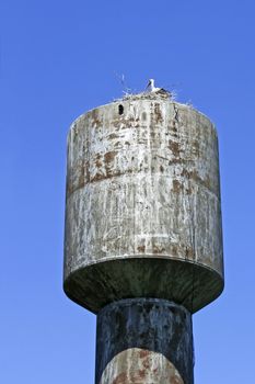 Stork nest on top of the old water tower