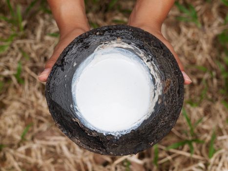 Asian woman holding a cup full of latex in a rubber estate in Malaysia