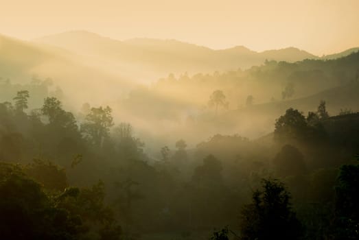 Hill and fog in the morning, Thailand