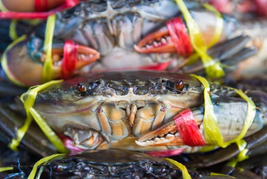 Fresh crabs on sale at a local market in Thailand