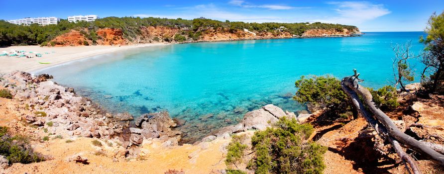 Cala Llenya in Ibiza panoramic of turquoise water in Balearic islands