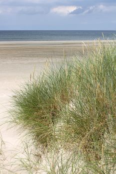 Dunes and the gorgeous wide beach in Jammerbugt, near Roedhus, North Jutland, Denmark, on a very sunny 18th August 2010.