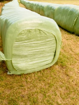 Rows of stacked silage or haylage bales, hay sealed in plastic wrapper left outdoors for fermentation to feed livestock
