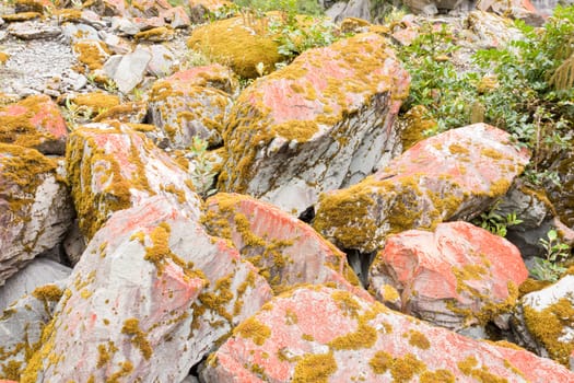 Rock boulders covered with orange lichens and moss background texture pattern