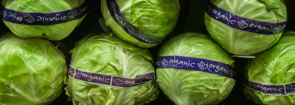 organic lettuce on display at farmers market