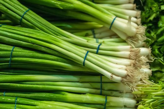 green onion with chives on display