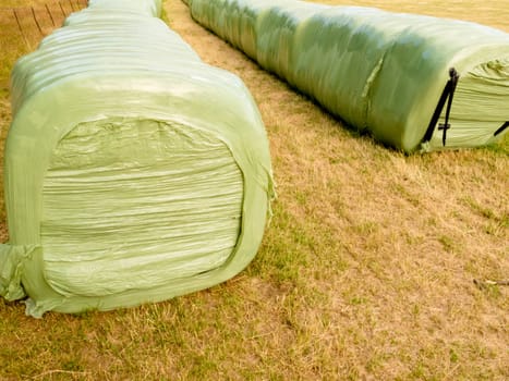 Rows of stacked silage or haylage bales, hay sealed in plastic wrapper left outdoors for fermentation to feed livestock