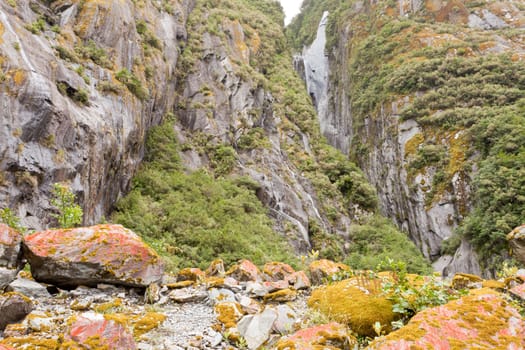 Rugged mountain wilderness vegetation background texture pattern