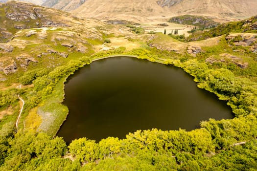 Small lake with lush green vegetation forming an oasis in the summer dry highlands near Wanaka in Central Otago, New Zealand