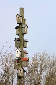 Many nest boxes for birds on a pole on Mandoe island in Denmark. 3rd April 2010.