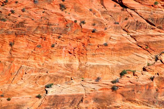 Bright sandstone rocks making up Zion Canyon of Utah.