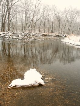 Dead deer in the Kishwaukee River demonstrates the harsh reality of a cold winter.