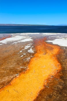 Bright orange thermophilic bacteria of the West Thumb Geyser Basin in Yellowstone National Park.