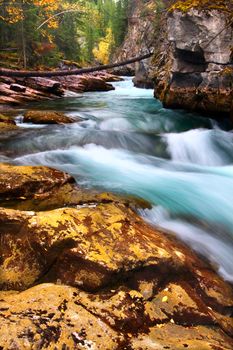 Cascading waters through Maligne Canyon of Jasper National Park in Canada.