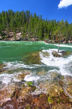 Swift current and rapids of the Yellowstone River fueled by snowmelt of the previous winter.