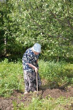 old woman works in a garden the afternoon
