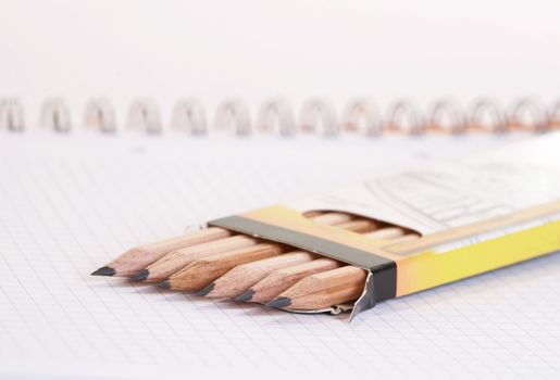line pencils in a box on sheet of notebook