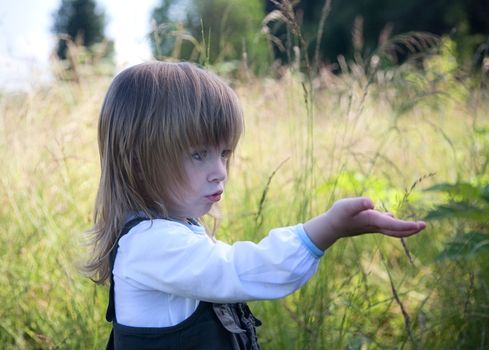 The little girl on summer meadow stretches a hand