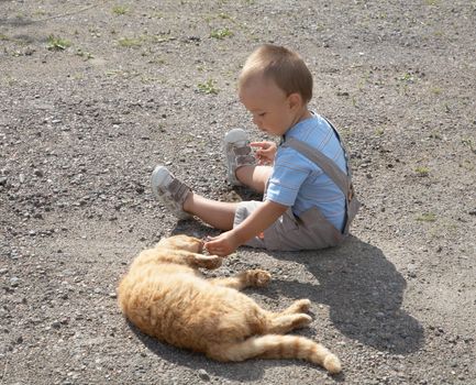 little boy plays with a cat in the afternoon