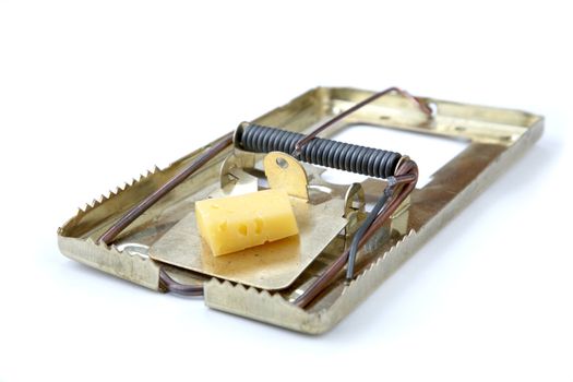 metallic mousetrap with cheese on a white background