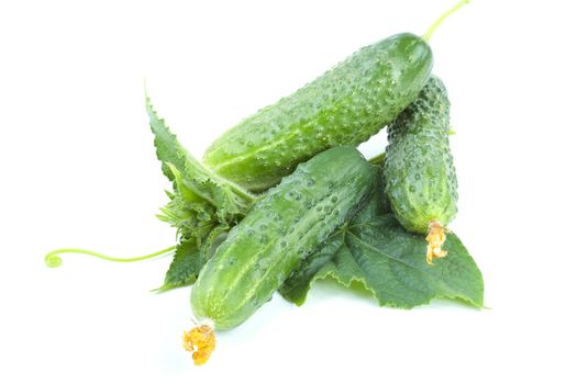 Green cucumbers with leaves isolated on a white background