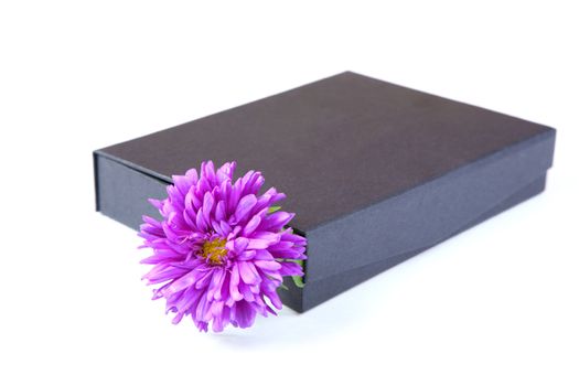 gift box with  flower isolated on a white background