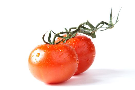Red tomatoes with green leaves on a white background