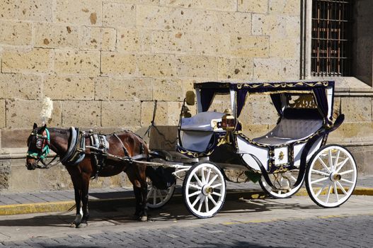 Horse drawn carriage waiting for tourists in historic Guadalajara, Jalisco, Mexico