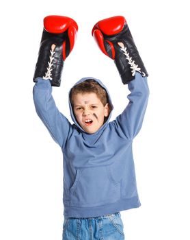Cute winner Boxer - boy boxing wearing boxing gloves. Isolated on white background.