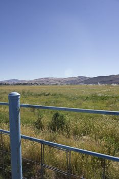 Large area of land crops being watered in front of mountains.