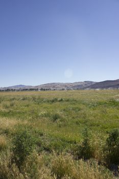 Large area of land crops being watered in front of mountains.