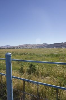 Large area of land crops being watered in front of mountains.