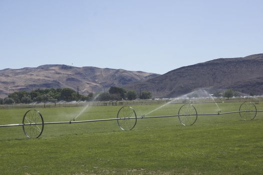 Large area of land crops being watered in front of mountains.