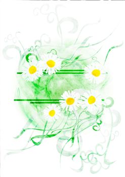 watercolor banner with chamomiles or daisies isolated on white