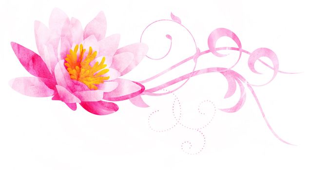 pink water lily watercolor illustration isolated on white