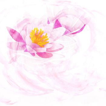 pink water lily watercolor illustration isolated on white