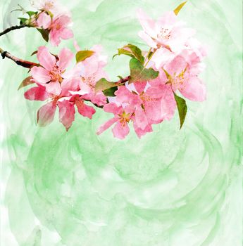 spring trees blossom watercolor illustration