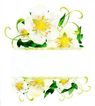 watercolor white wild roses flowers border isoleted on white