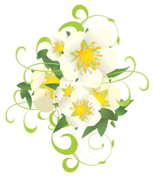 white wild roses nature vector decor isolated on white