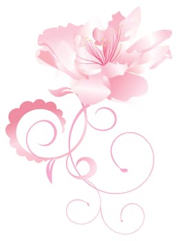 exotic flower nature vector pink curves isolated on white