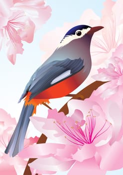 vector bird in spring flowers pink blossom