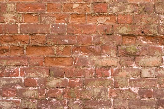 Old wall from a red brick.
